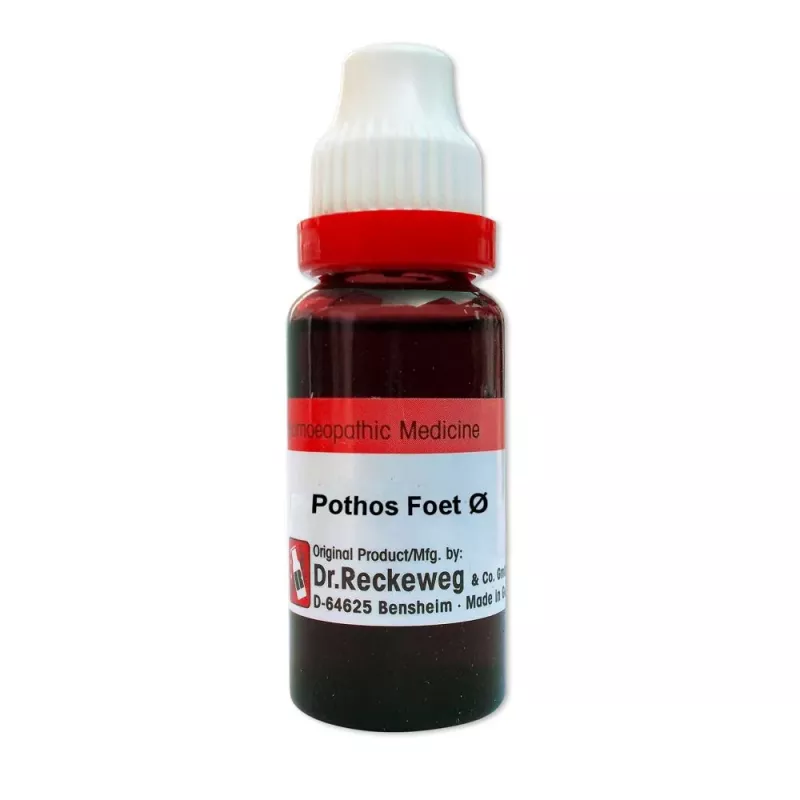 Dr. Reckeweg Pothos Foetida Mother Tincture Q