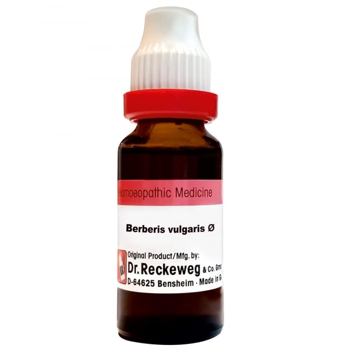 Dr. Reckeweg Berberis Vul Mother Tincture Q