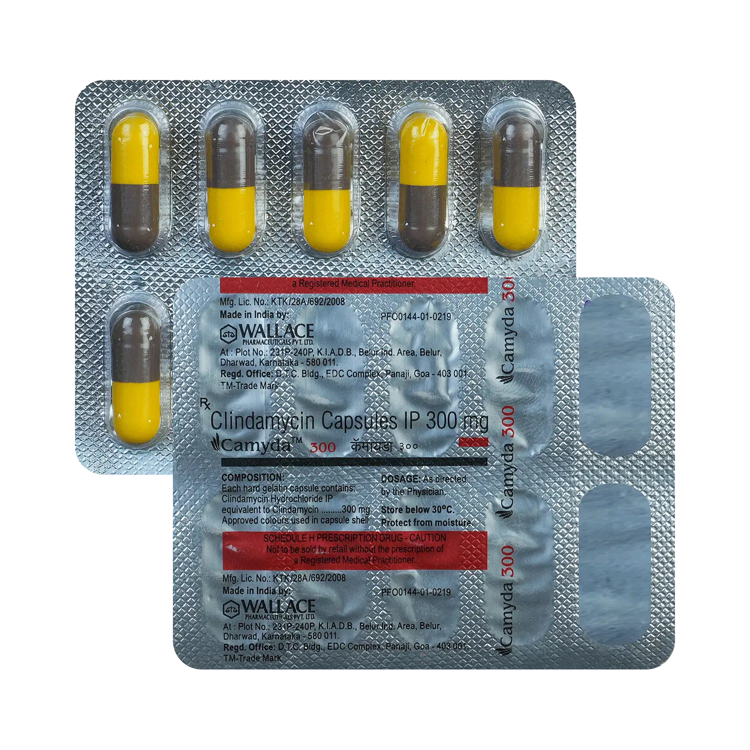 Camyda 300mg Capsule