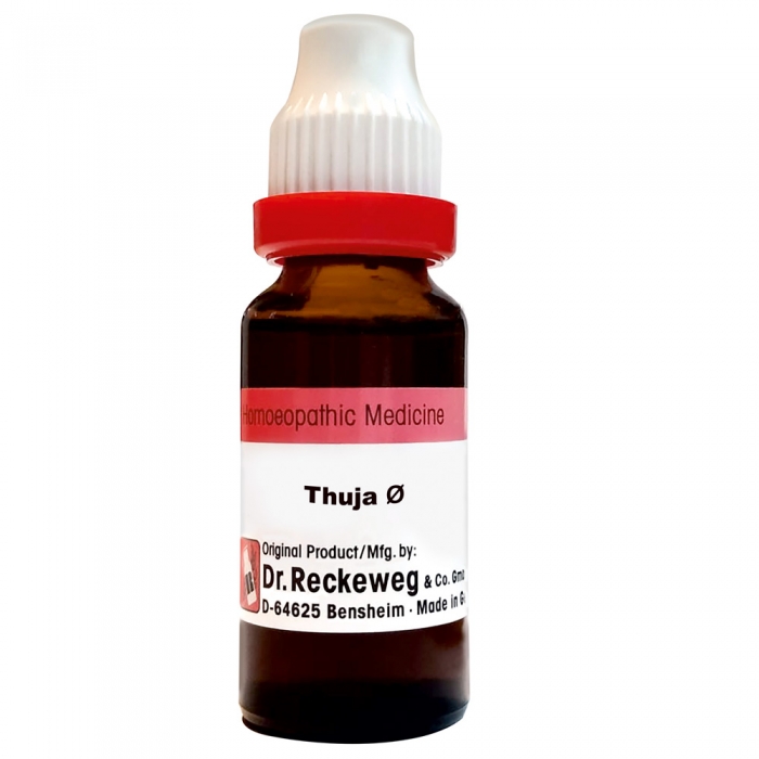 Dr. Reckeweg Thuja Occi Mother Tincture Q