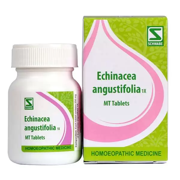 Dr Willmar Schwabe India Echinacea Angustifolia Tablet 1X