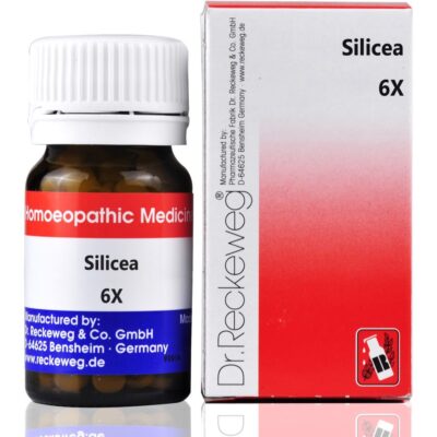 Dr. Reckeweg Silicea 6X