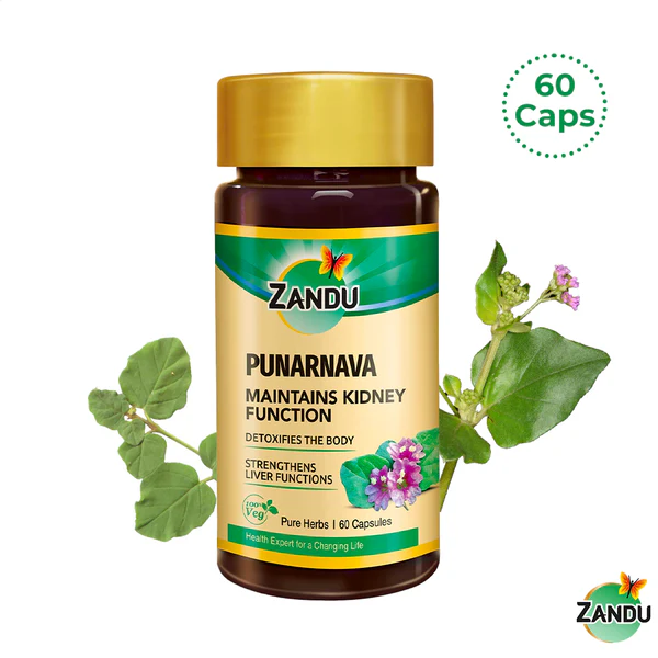 Zandu Punarnava Capsule for Kidney Detox