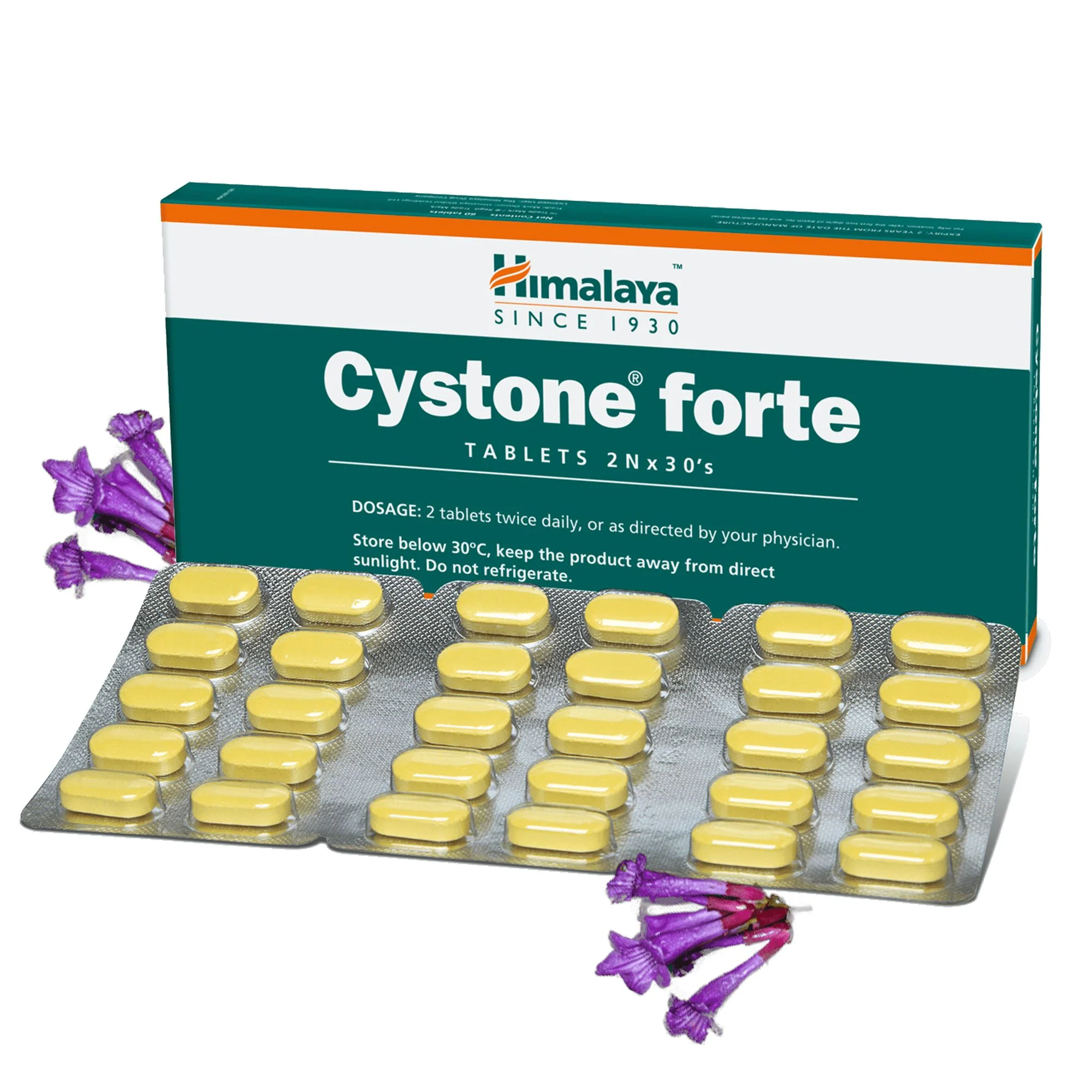 Himalaya Cystone Forte Tablet