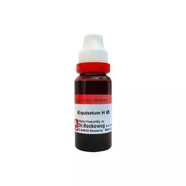 Dr. Reckeweg Equisetum H Mother Tincture Q