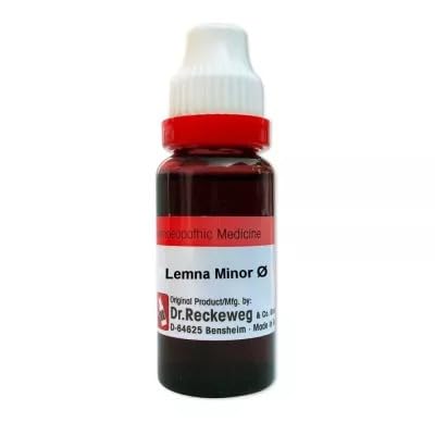Dr. Reckeweg Lemna Minor Mother Tincture Q