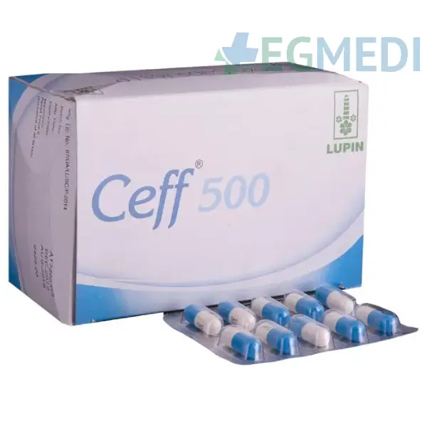 Ceff 500 Capsule