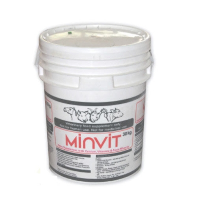 Minvit Capsule