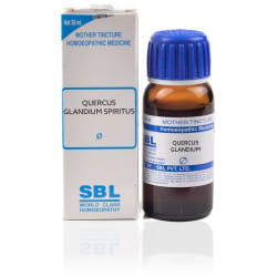 SBL Spiritus Quer-Glandium Mother Tincture Q