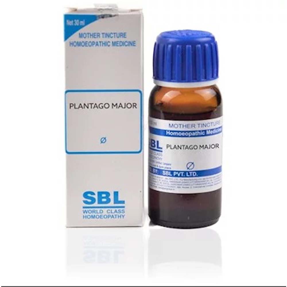 SBL Plantago Major Mother Tincture Q