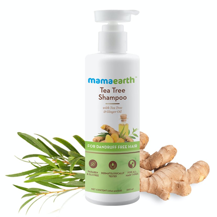 Mamaearth Tea Tree Shampoo for Healthy Hair | SLS & Paraben-Free